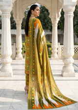Hara Noor image 4